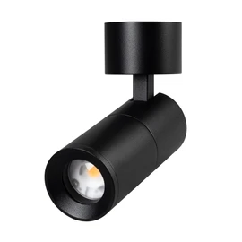 Фото #1 товара Светильник SP-ARTEMIS-SURFACE-FLAP-R55-12W Day4000 (BK, 8-80 deg, 230V) (Arlight, IP20 Металл, 5 лет)