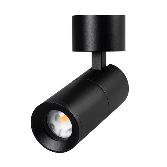 Фото #1 товара Светильник SP-ARTEMIS-SURFACE-FLAP-R55-12W Day4000 (BK, 8-80 deg, 230V) (Arlight, IP20 Металл, 5 лет)