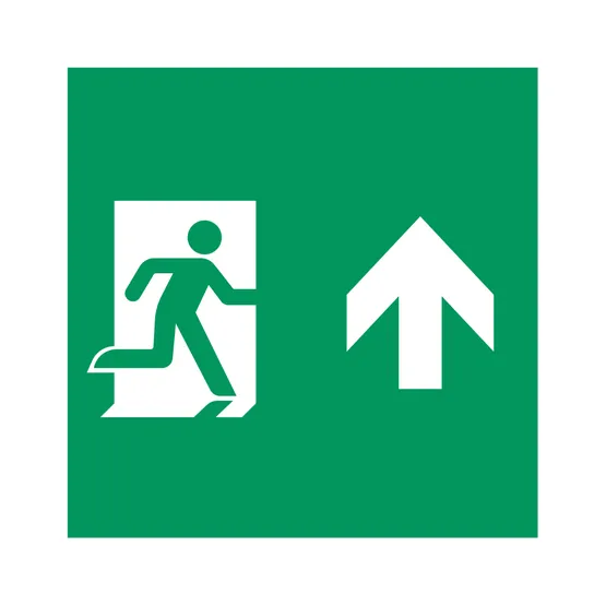 Фото товара Пиктограмма EMGP-MARK-MA-UP (Человек, Вверх) (Arlight, Пластик)