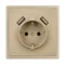 Минифото #4 товара Механизм розетки с USB зарядкой SCT-NOBE-MUAA-SFPL-GD (230V, 16A) (Arlight, Золотой песок)