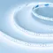 Минифото #1 товара Светодиодная лента RT-A180-8mm 24V Cool 10K (14.4 W/m, IP20, 3528, 5m) (Arlight, Открытый)