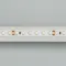 Минифото #3 товара Светодиодная лента RT 2-5000 24V White6000 2x (3528, 600 LED, LUX) (Arlight, 9.6 Вт/м, IP20)